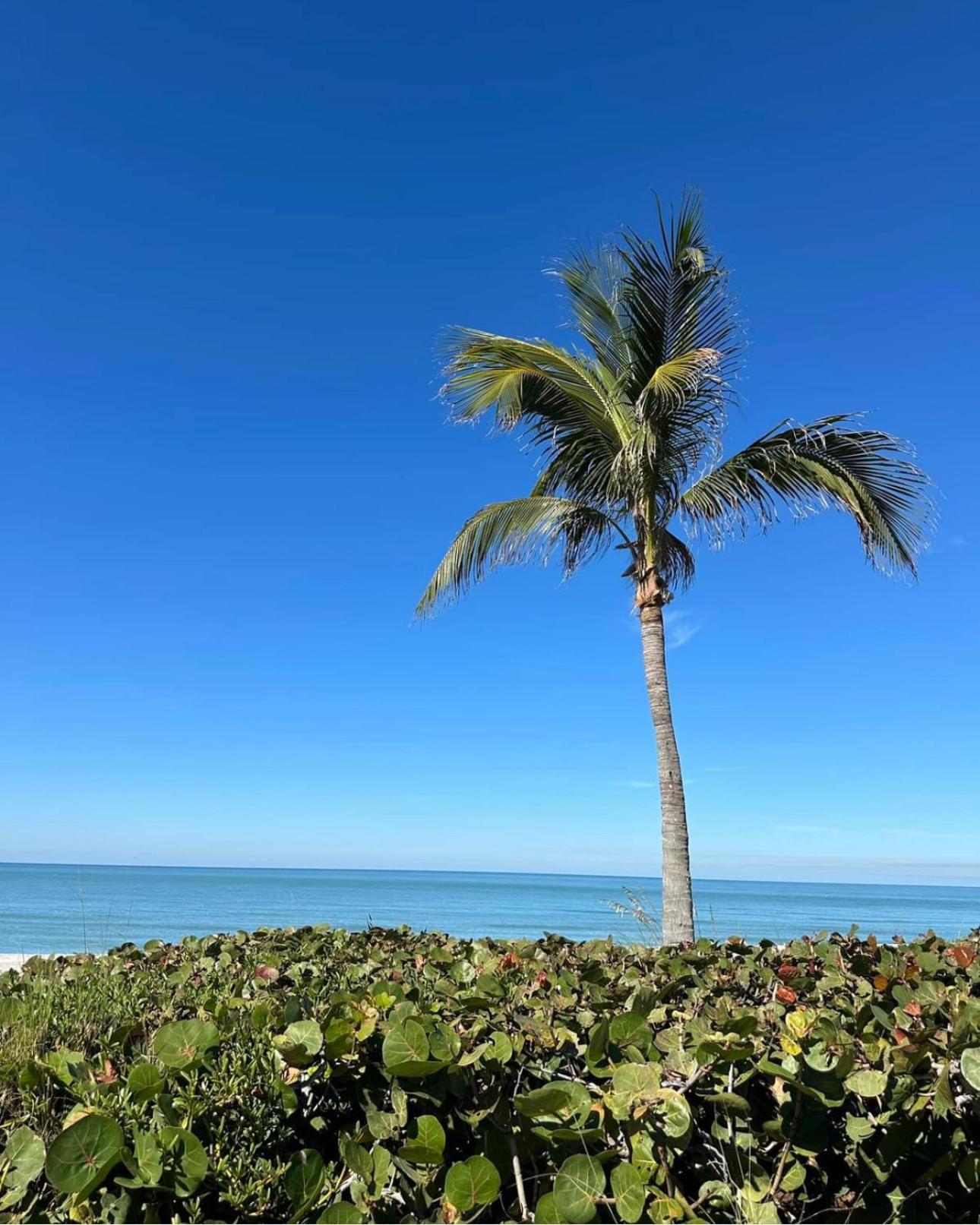 Captiva Bayside Villas 1 Bedroom 2 Bath - Sleep 4 Captiva Island Kültér fotó